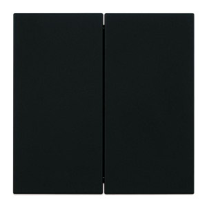 Переключатель 2-клавишный (механизм), Stekker, 250В, 10А Мия, RSW10-3107-05, черный бархат 50448