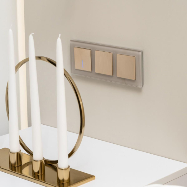 Выключатель Werkel одноклавишный проходной с подсветкой шампань рифленый W1112110 4690389160097