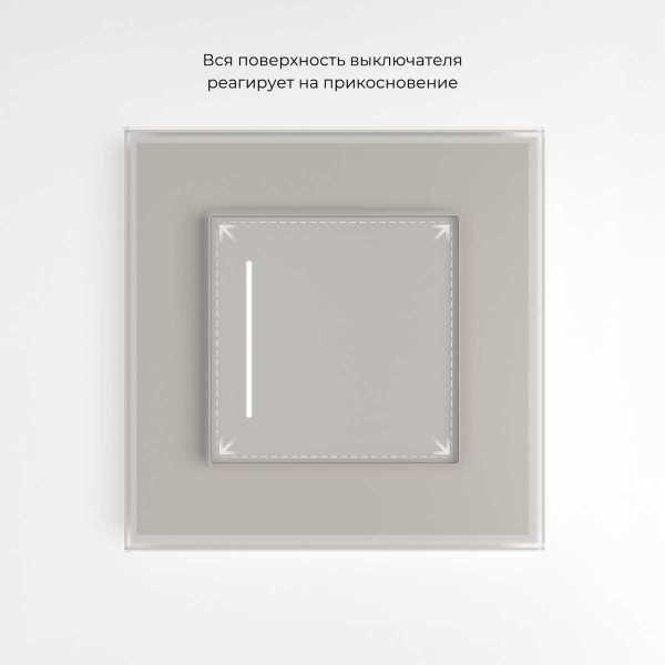 Сенсорный выключатель одноклавишный с подсветкой (дымчатый) W4512014/ a069762