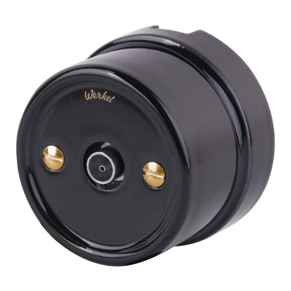 Набор винтов Werkel для распределительной коробки/TV розетки Ретро золото WL18-22-01 4690389105906