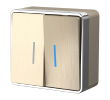 Выключатель двухклавишный с подсветкой Werkel Gallant шампань рифленый W5020110 4690389164200