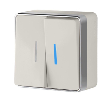 Выключатель двухклавишный с подсветкой Werkel Gallant слоновая кость W5020103 4690389164187