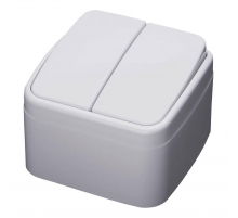 Выключатель двухклавишный Feron Stekker Basic PSW104220 39032