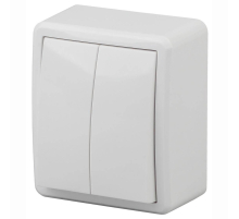 Переключатель двухклавишный с подсветкой ЭРА Эксперт 10AX 250V 11-1205-01 Б0020666