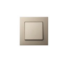 Выключатель одноклавишный Liregus Epsilon шампань 28-3000