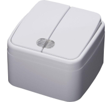 Выключатель двухклавишный Stekker Basic с подсветкой PSW103220 39030