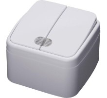 Выключатель двухклавишный Stekker Basic с подсветкой PSW103220 39030