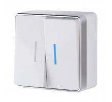 Выключатель двухклавишный с подсветкой Werkel Gallant белый W5020101 4690389164170