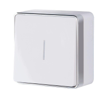 Выключатель одноклавишный с подсветкой Werkel Gallant белый W5010101 4690389163791