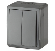 Выключатель двухклавишный ЭРА Эксперт 10AX 250V IP54 11-1404-03 Б0020676