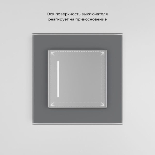 Сенсорный выключатель одноклавишный Werkel с подсветкой серебряный W4513006 4690389197901