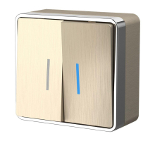 Выключатель двухклавишный с подсветкой Werkel Gallant шампань рифленый W5020110 4690389164200