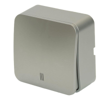 Выключатель одноклавишный Stekker София с подсветкой серебро MSW10-11-20-03 49296