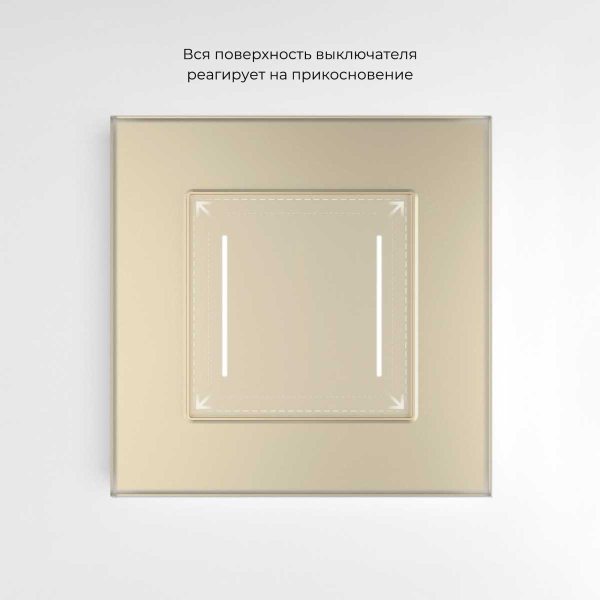 Выключатель двухклавишный с подсветкой сесорный Werkel шампань W4522011