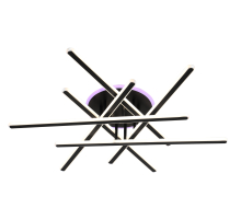 2900/820 BLACK+RGB (1) Люстра (RL)