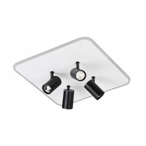 2468/480 WHITE+BLACK (1) Люстра (RL)