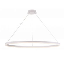 20214-10 SWT (1) Светильник (RL)