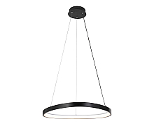 2550/650P BLACK (1) Подвесной светильник  (RL) #
