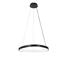 2550/650P BLACK (1) Подвесной светильник  (RL) #