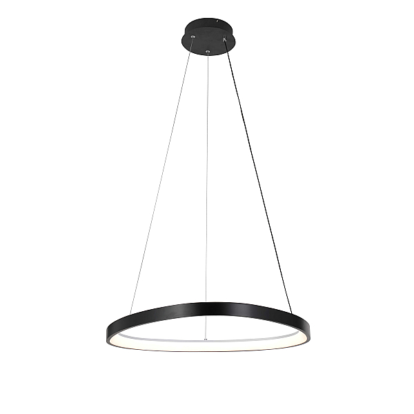 2550/650P BLACK (1) Подвесной светильник  (RL) #