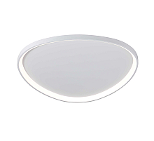 2550/850 WHITE (1) Потолочный светильник (RL) #