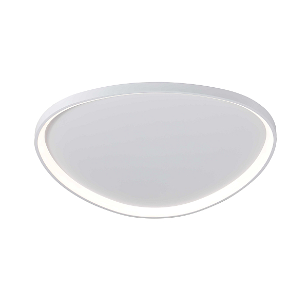 2550/850 WHITE (1) Потолочный светильник (RL) #