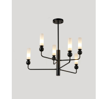 82140-6B BK (1) Потолочный светильник NW