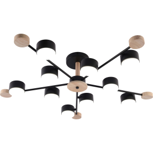 GX3751-10 BK+WOOD (1) Люстра RL