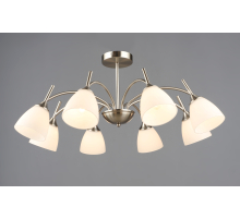 7349/8 SN (1) Люстра RL