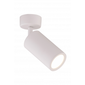 1031W/1 WHITE (1/30) Светильник (RL)