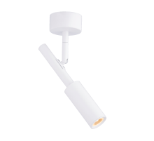 20116 SWT (1/20) Светильник (RL)