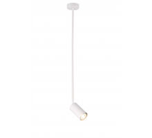 P070DW/1 WHITE (1) Светильник (NW)