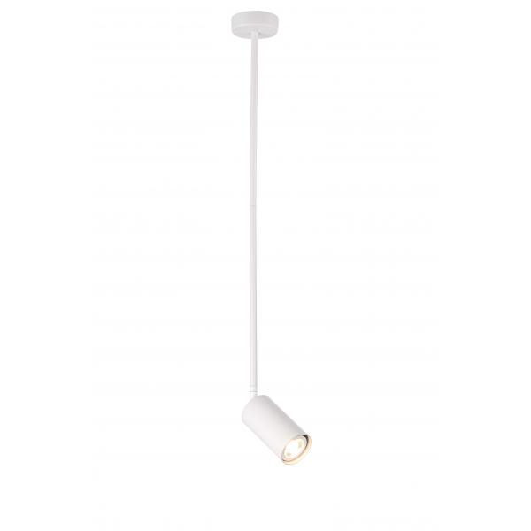 P070DW/1 WHITE (1) Светильник (NW)