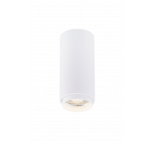 046MZ SWT (1/30) Светильник