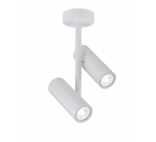 1110W-A/L WHITE (1/10) Светильник RL