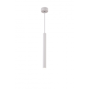 QY-H1009W-S WHITE (1/30) Светильник (RL)
