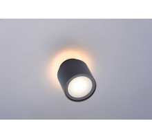 HDL-100R56-GL-GU-BK BK (1/20) Светильник