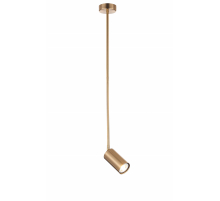 P070DW/1 BRASS (1) Светильник (NW)