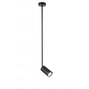 P070DW/1 BLACK (1) Светильник (NW)