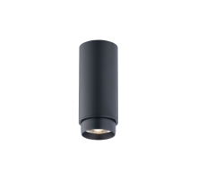 046MZ SBK (1/30) Светильник