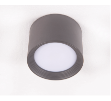 2559W/1 FGY (1/48) Светильник потолочный NW