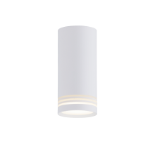 1419CN SWT (1/30) Светильник (RL)